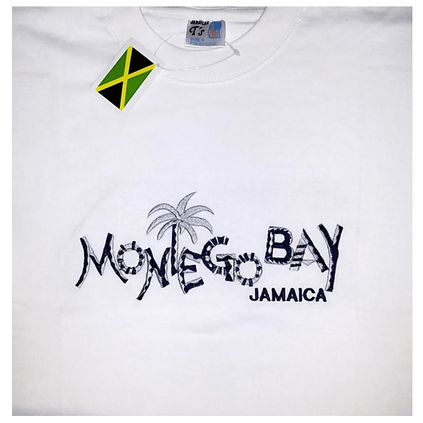 Model-AWE-MoBay