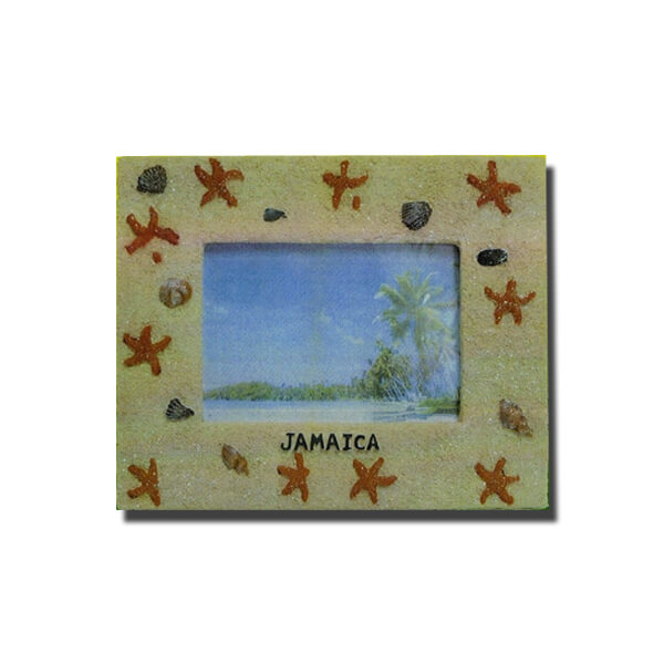 5×7 starfish picture frame