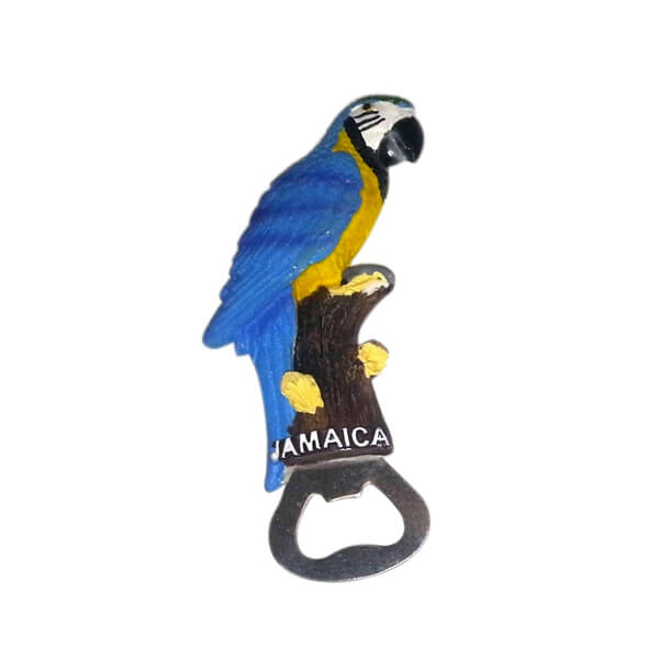 Blue Parrot opener with magnet