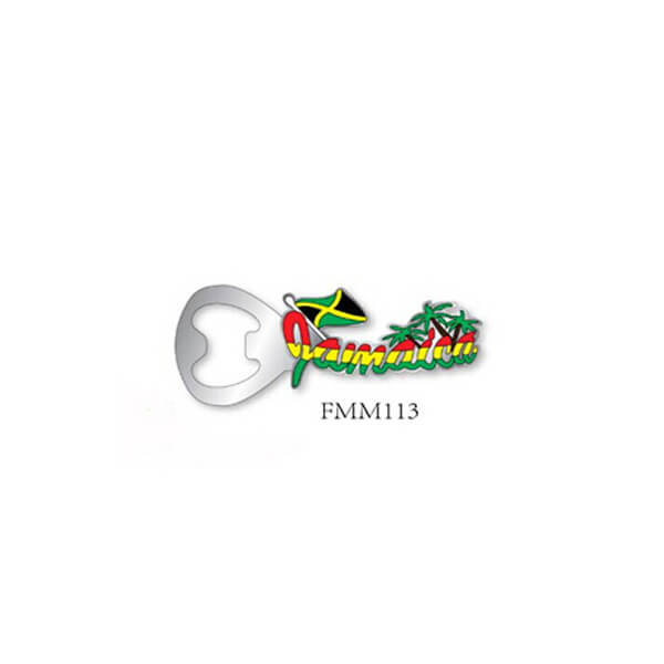 FMM113