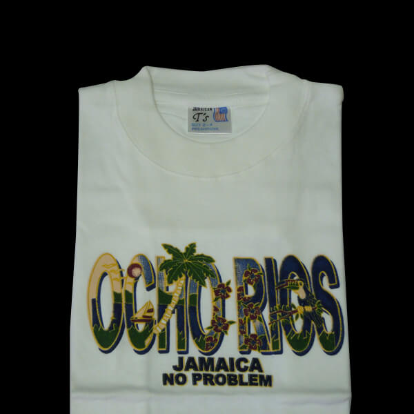 Model Ochorios