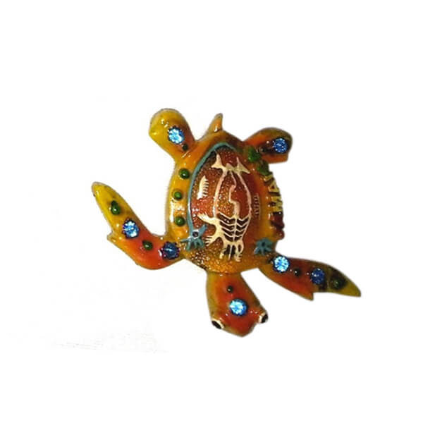Turtle magnet 2