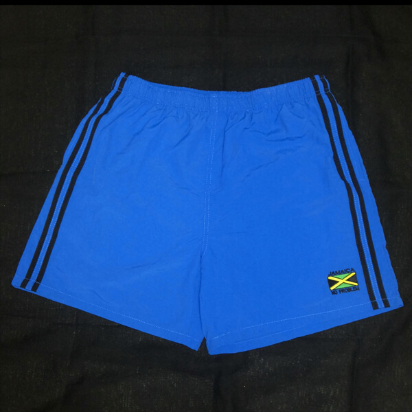 Model R-Blue Flag